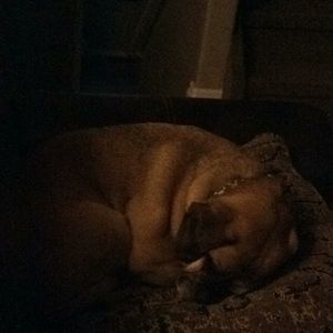 Meet your Posher, Tracy